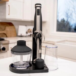 Máy xay sinh tố cầm tay Blendtec